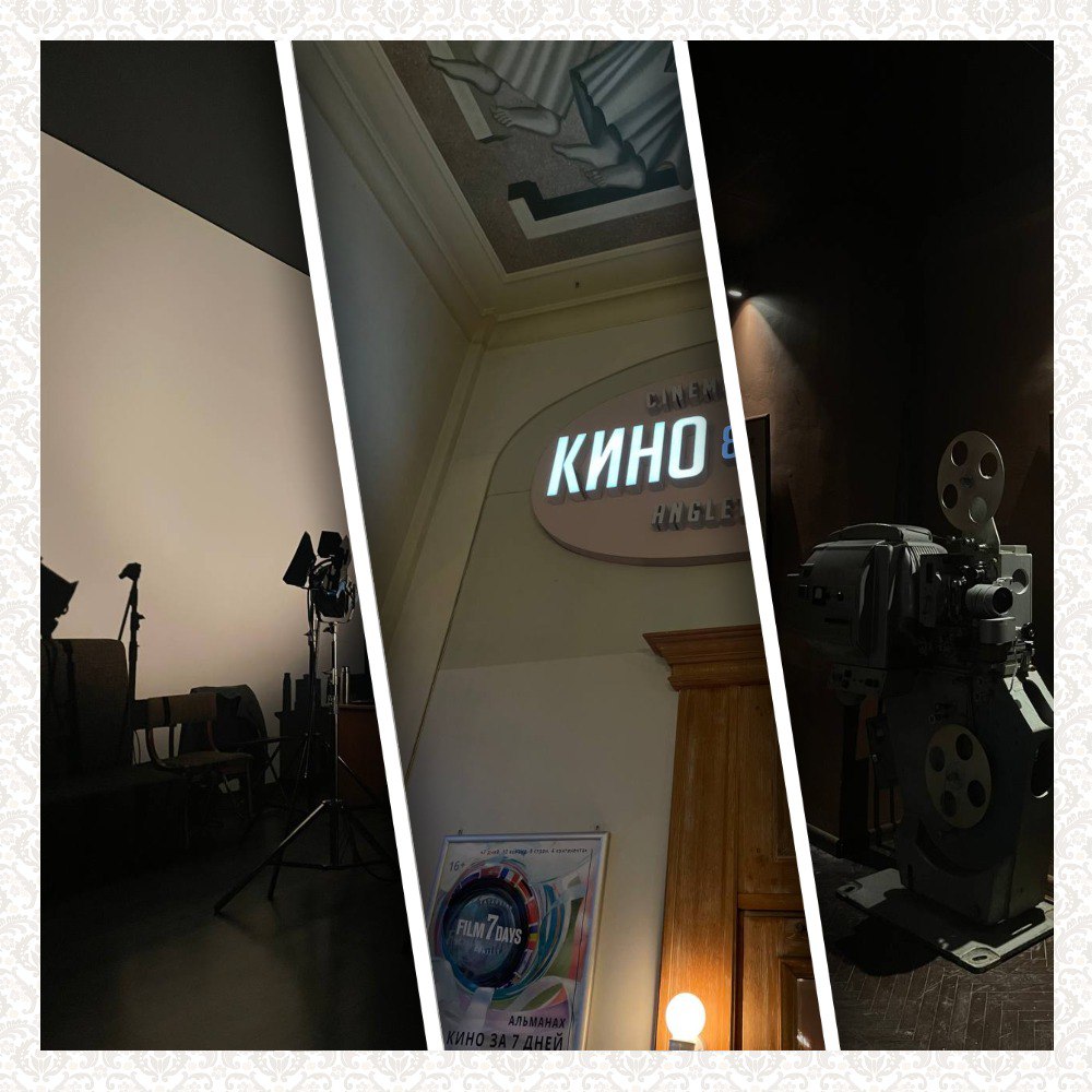 День кино
