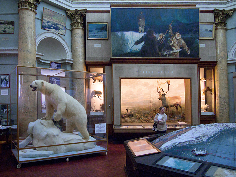 Arctic and Antarctic Museum: Exhibition “Master of the Arctic”