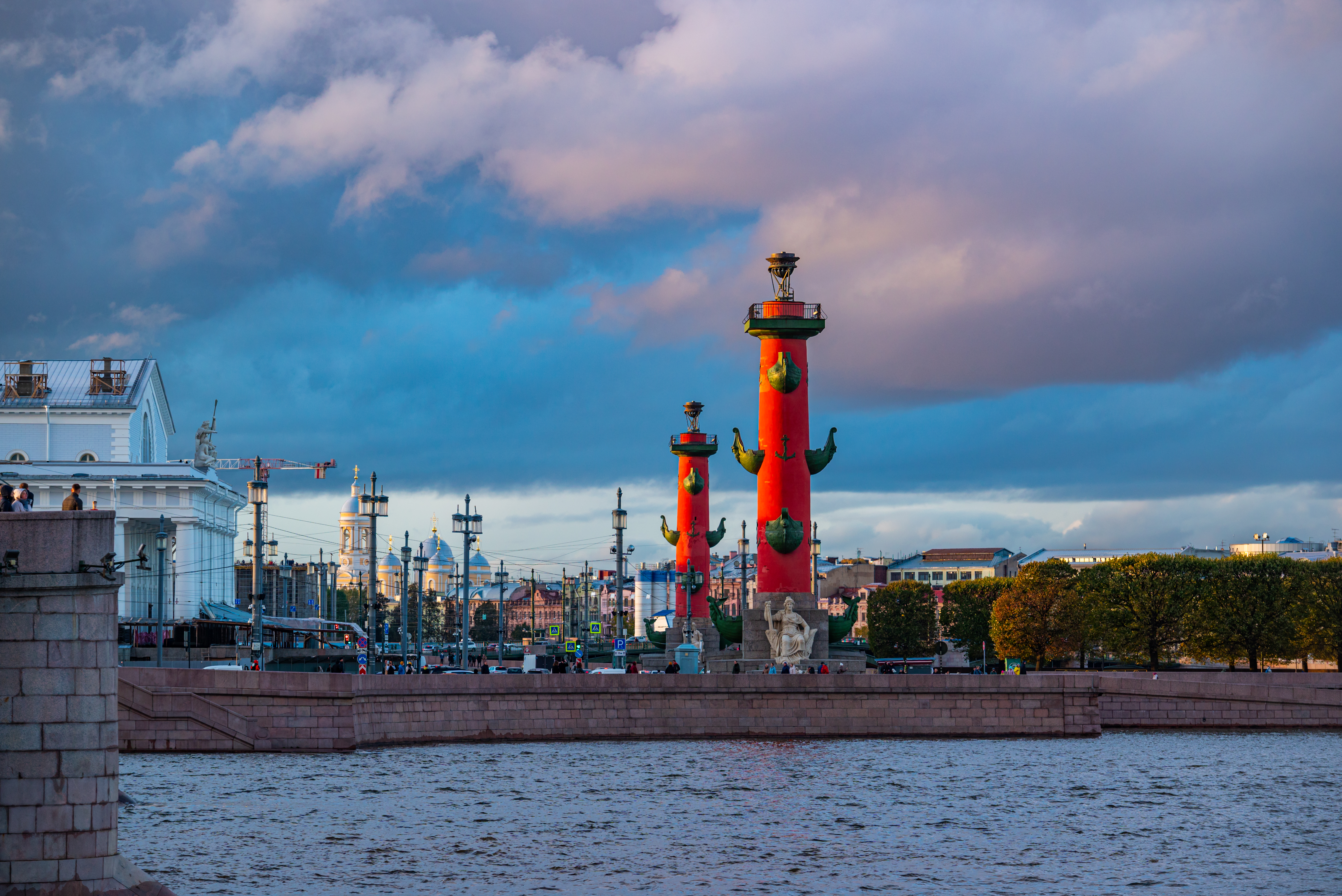 Rostral Columns