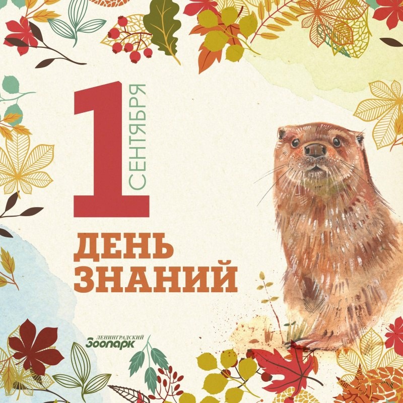 День знаний в Ленинградском зоопарке