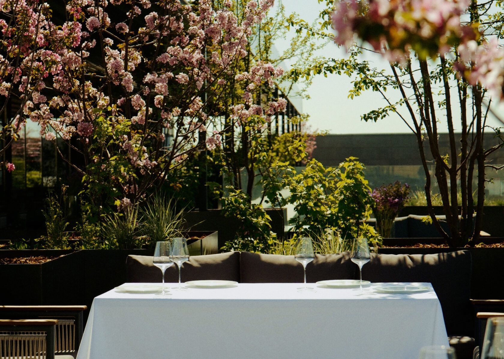 Ресторан AGA