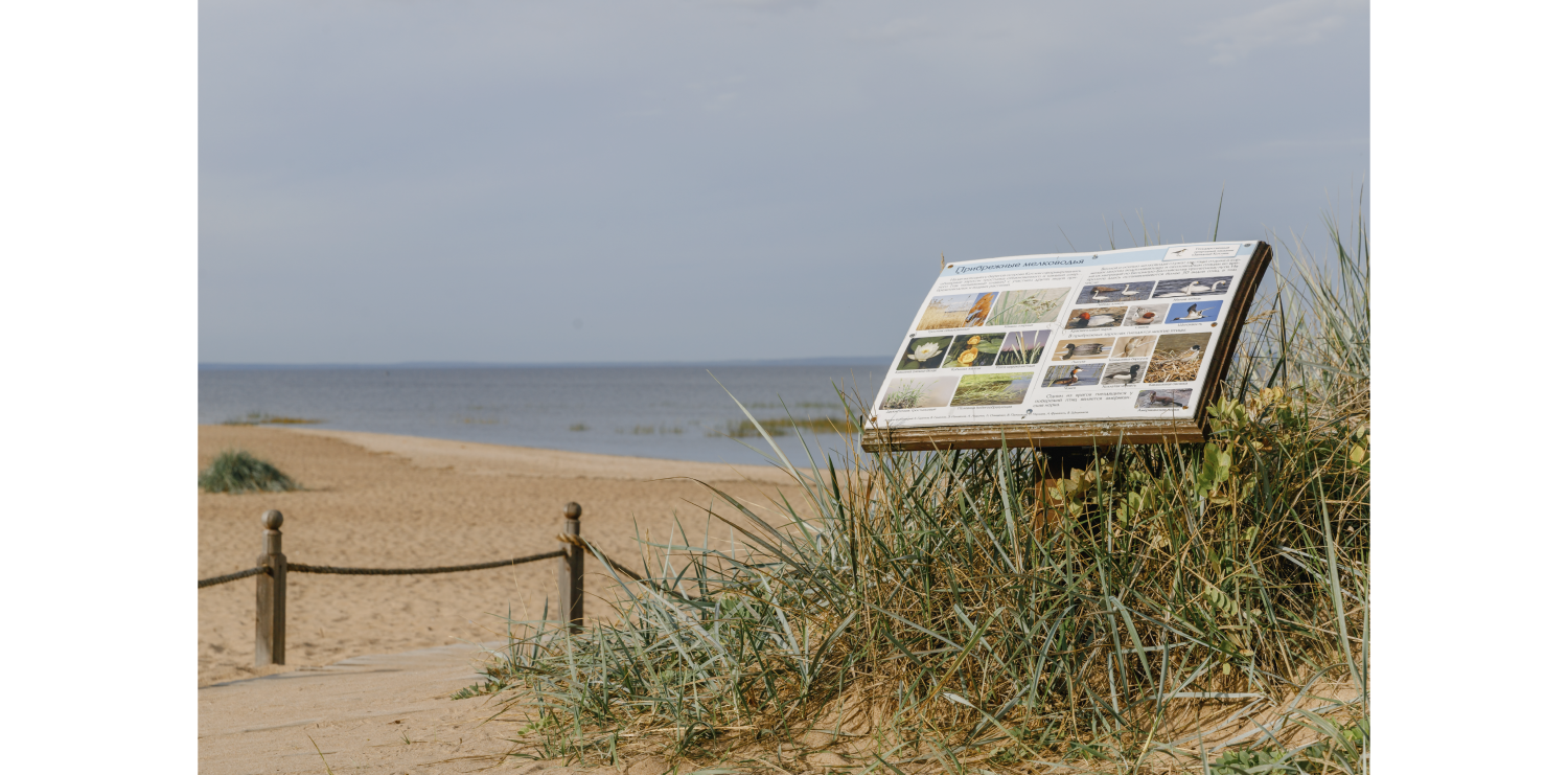 Four unique eco-trails near St. Petersburg