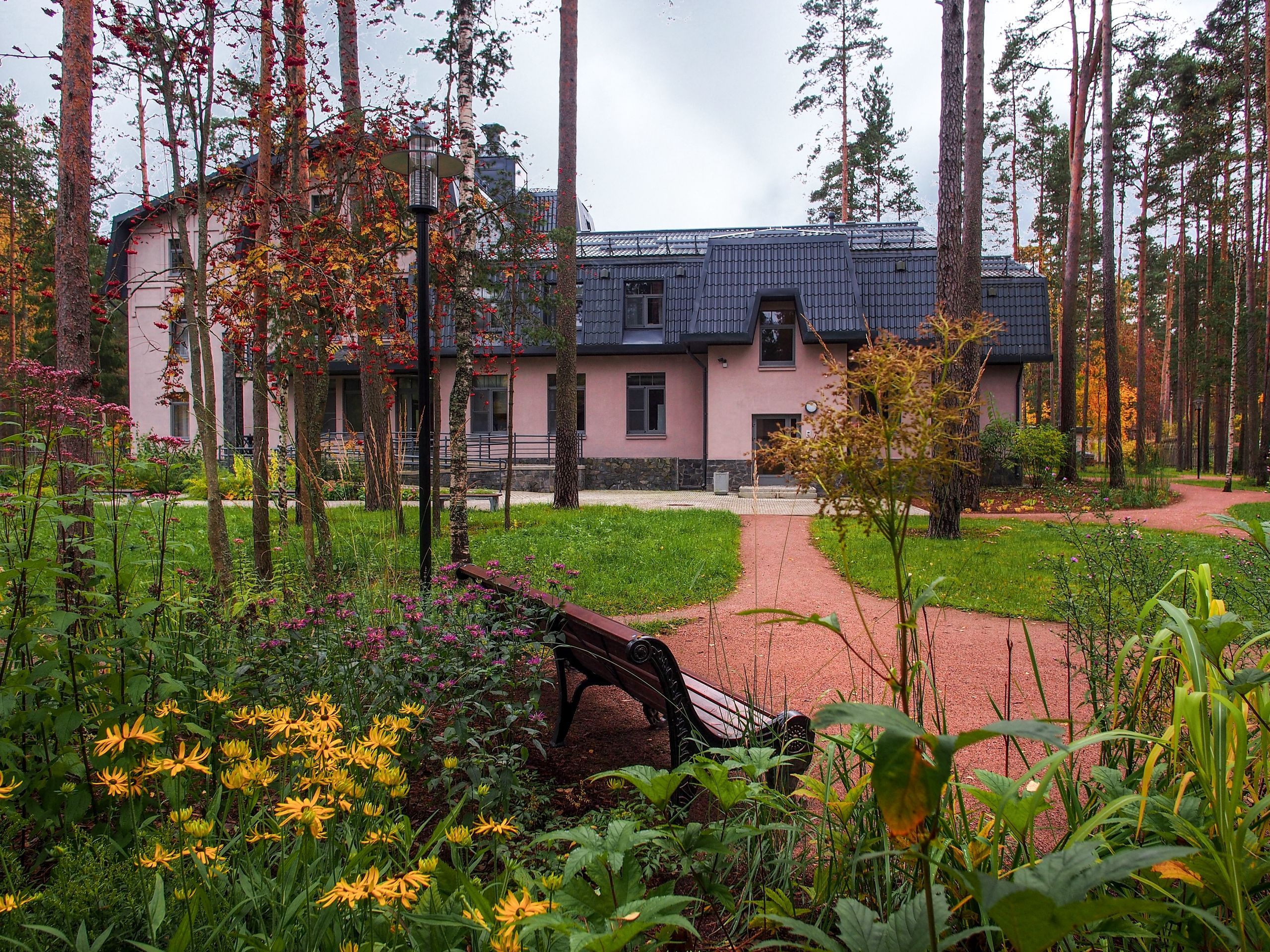 Спутник в Комарово