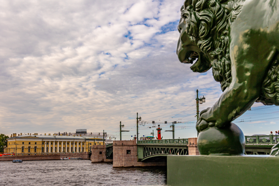 Палеоостров | Палеонтологический маршрут по Васильевскому острову