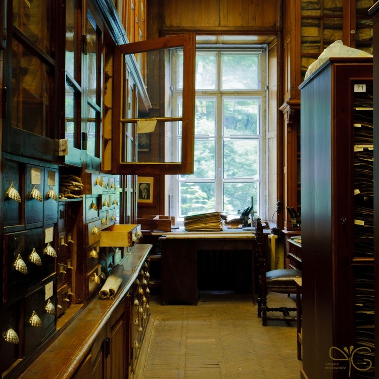 Herbarium of St. Petersburg State University