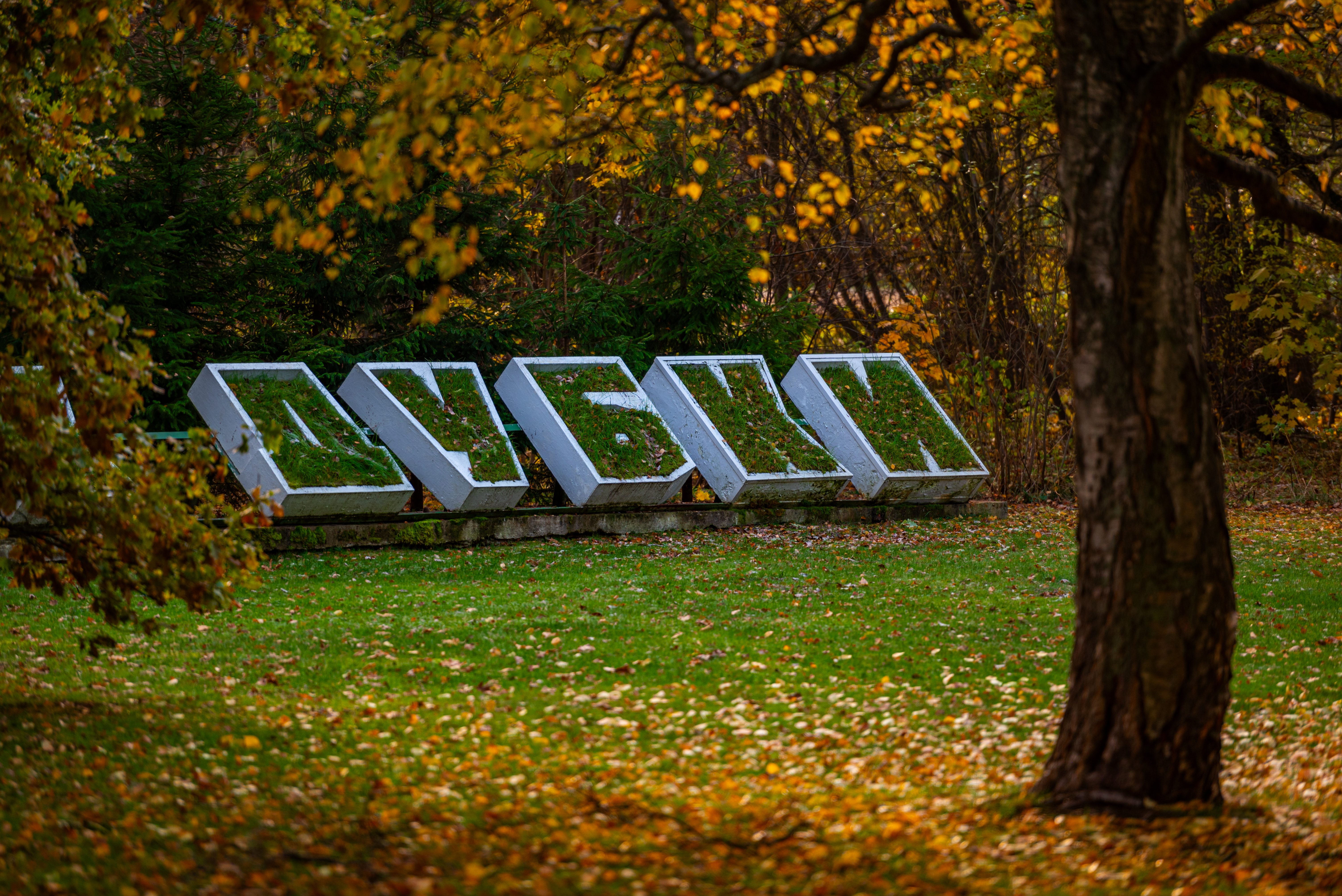 Park of culture and leisure Dubki