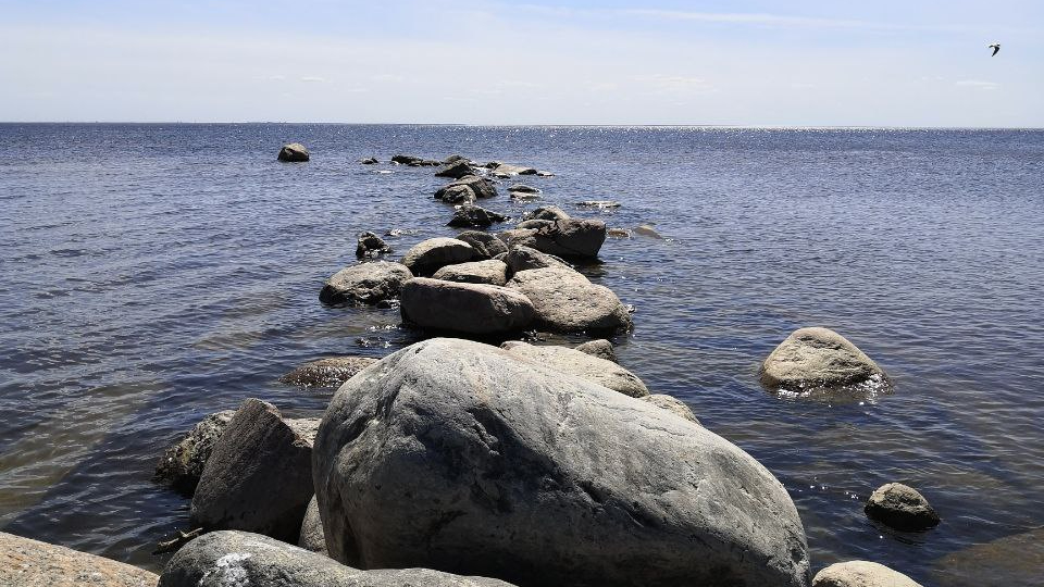 The Gulf of Finland