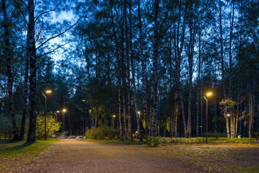 Маршрут Выборгский | Прогулки по вечернему Петербургу