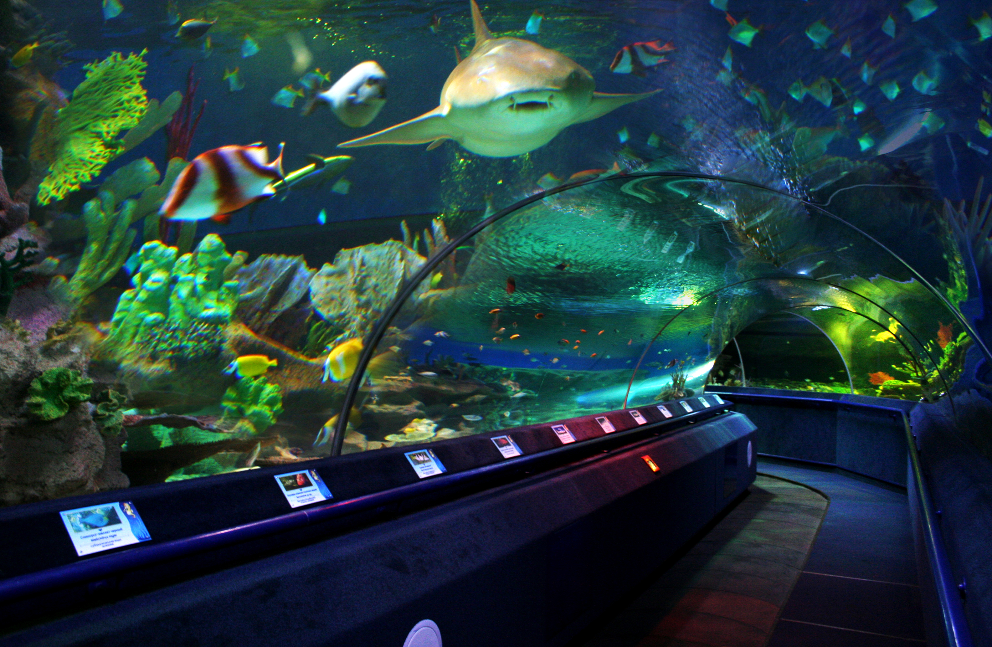 Oceanarium