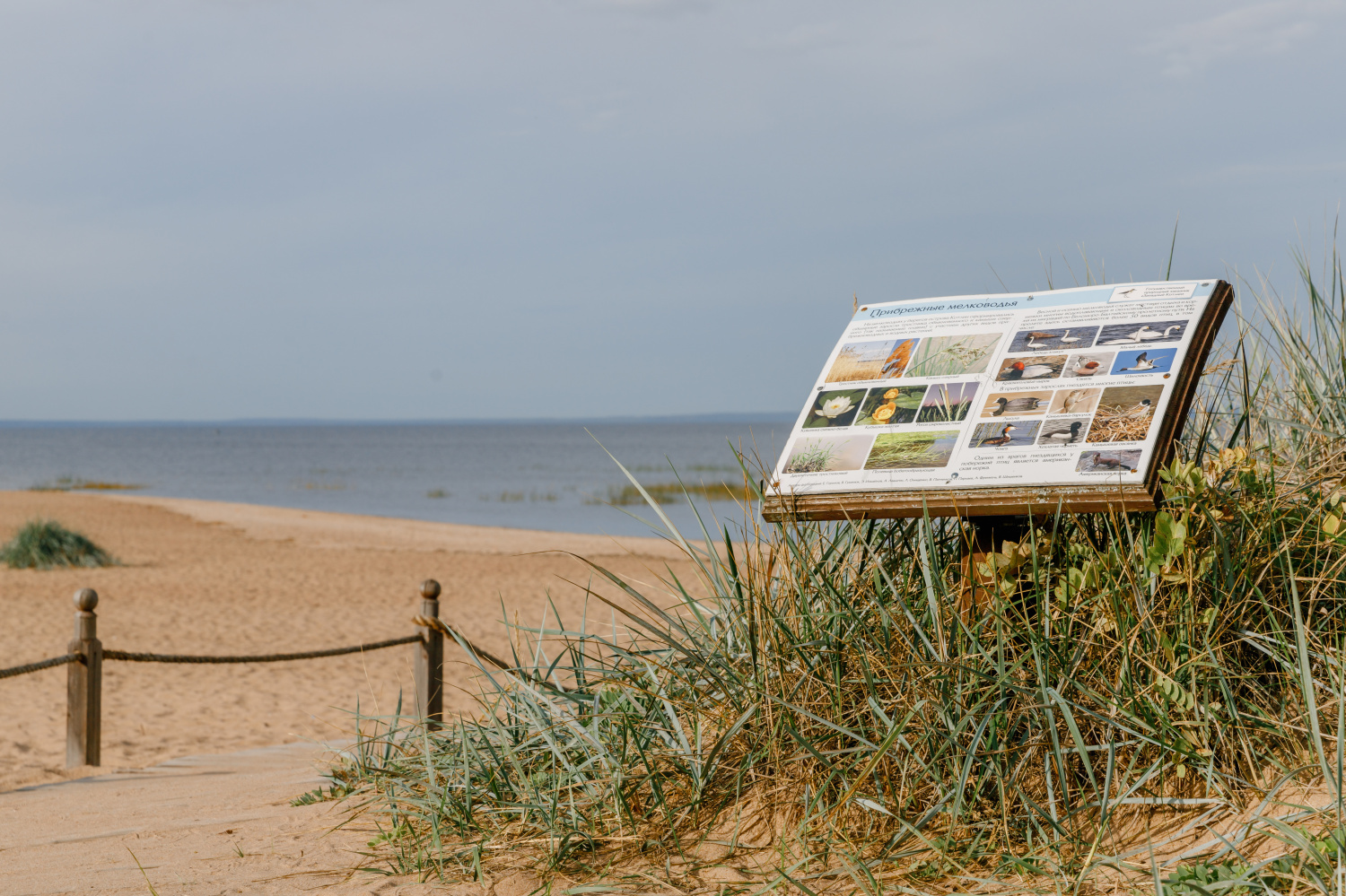 Four unique eco-trails near St. Petersburg