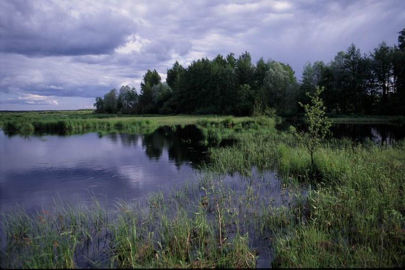 Юнтоловский