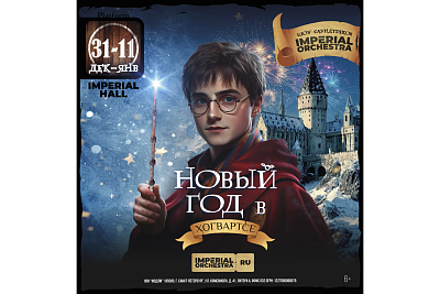 Музыкальное приключение «Новый год в Хогвартсе»