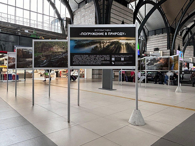 Фотовыставка «Погружение в природу»