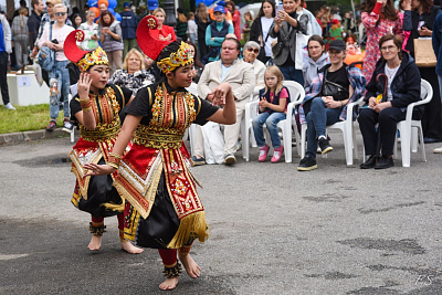 XVII Международный экологический фестиваль искусств «КронФест – 2026»