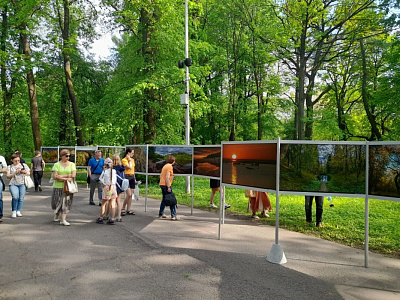 Фотовыставка «Погружение в природу»